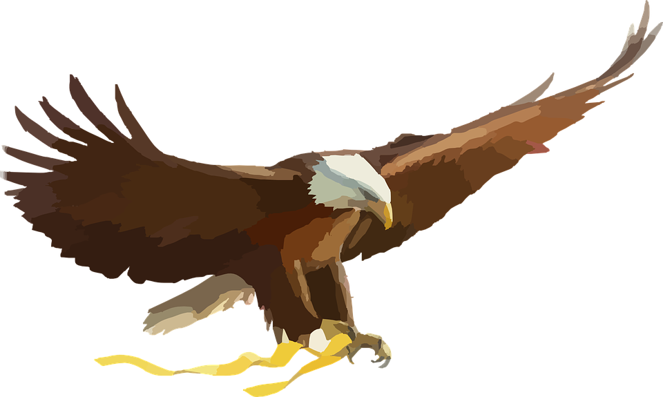 Advice: What the Eagle Knows