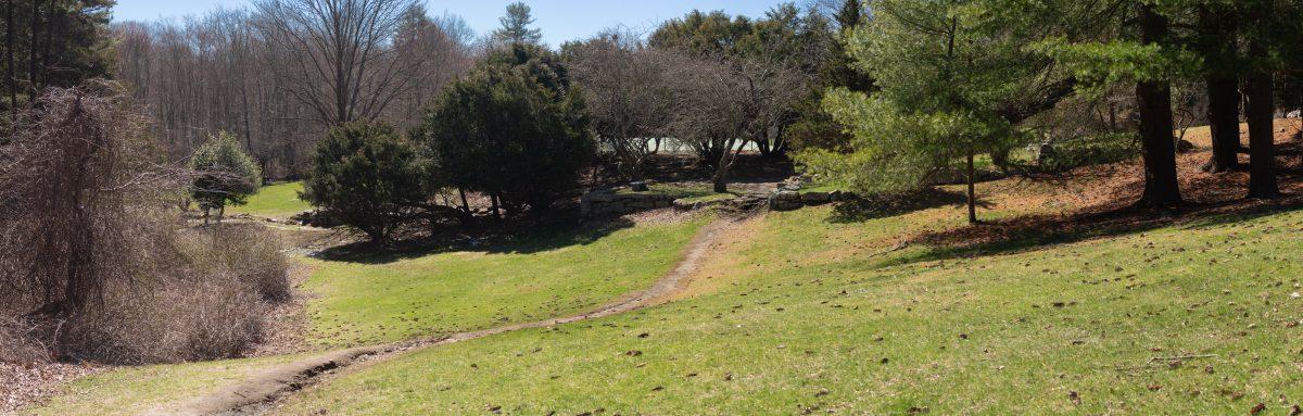 Springing into Spring: A Student's Guide to Spring in Sharon