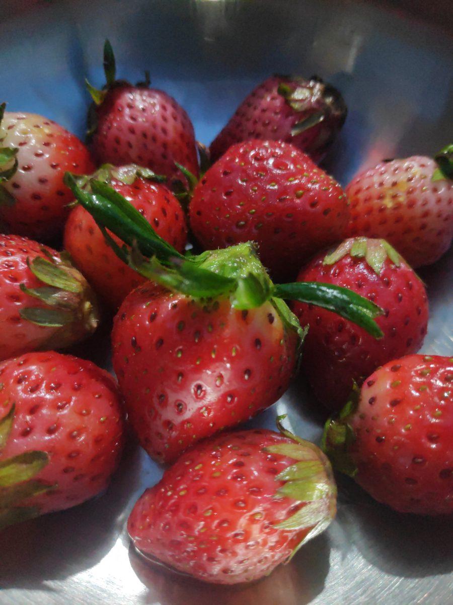 'Tis the Season: Shaw's Strawberries