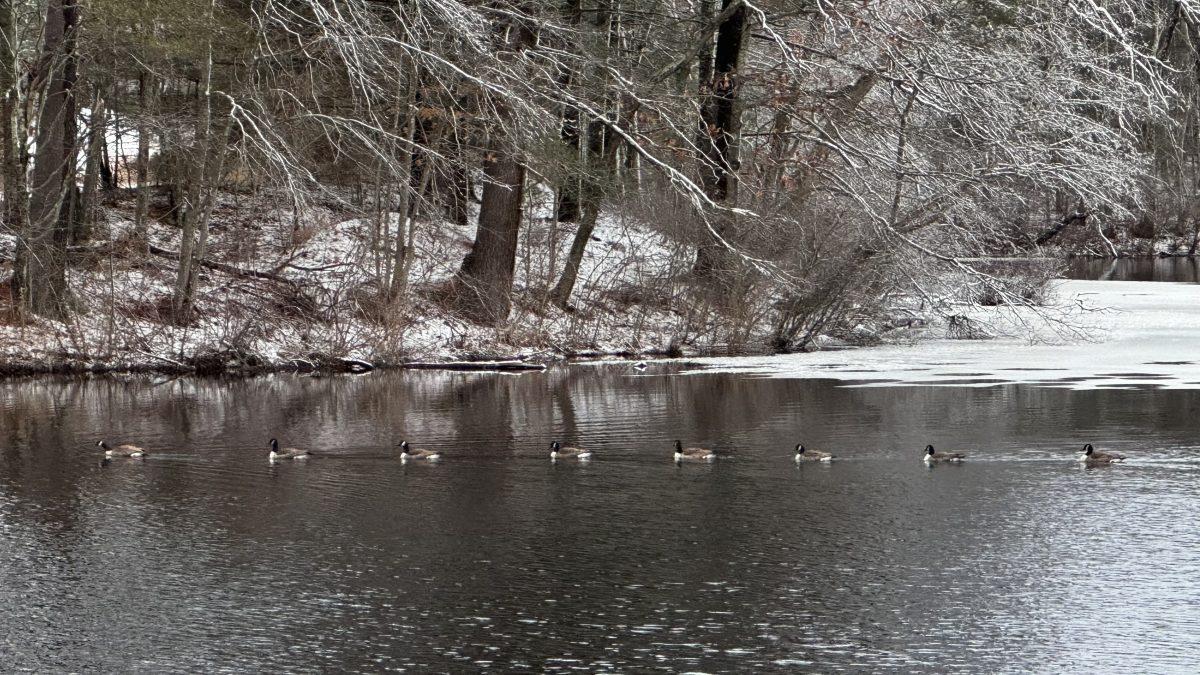 A Letter to Winter